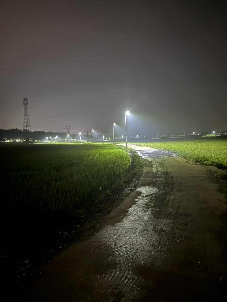 Nigeria rural school solar lighting project
