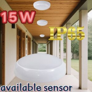 IP65 Waterproof Ceiling Light